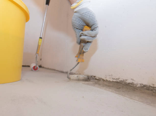 Best Pest Prevention Services  in St Charles, MI